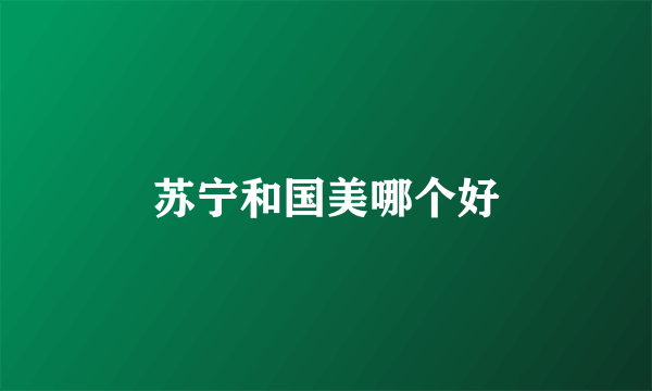 苏宁和国美哪个好