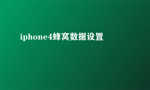 iphone4蜂窝数据设置