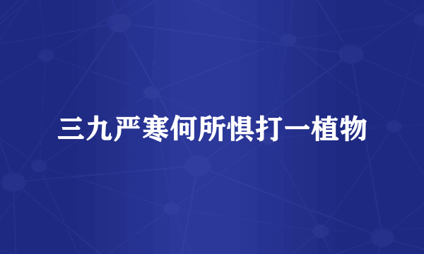 三九严寒何所惧打一植物