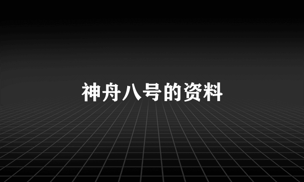 神舟八号的资料
