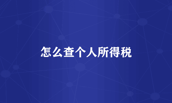 怎么查个人所得税