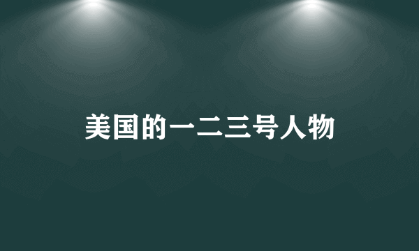 美国的一二三号人物