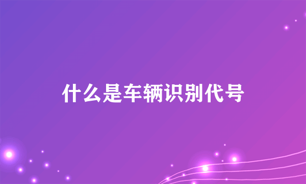 什么是车辆识别代号
