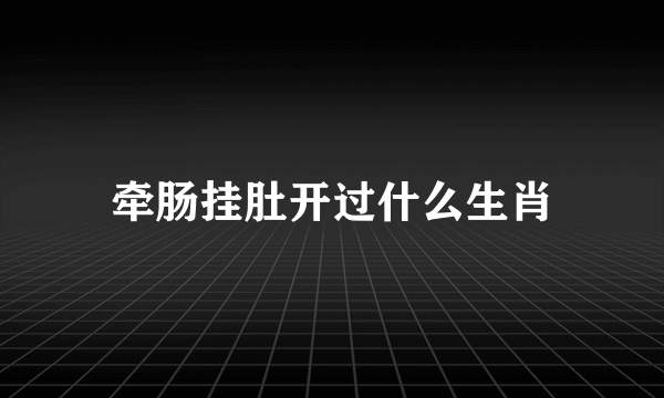 牵肠挂肚开过什么生肖