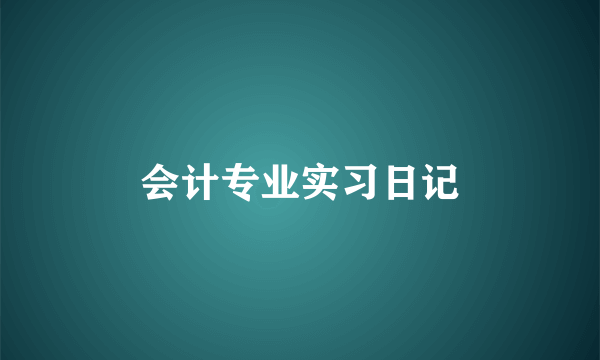 会计专业实习日记