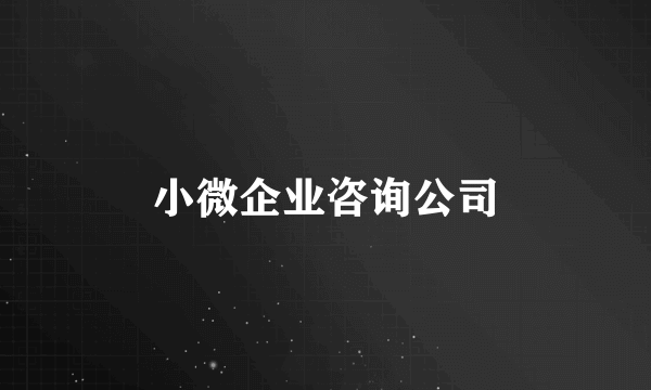 小微企业咨询公司