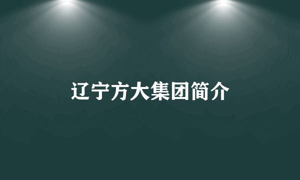 辽宁方大集团简介