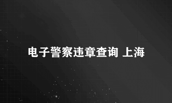 电子警察违章查询 上海