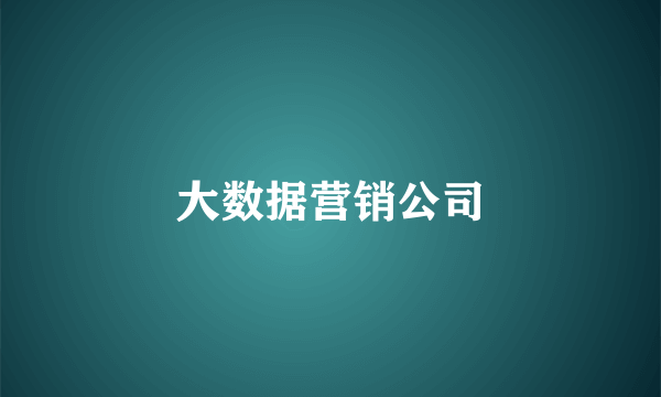 大数据营销公司