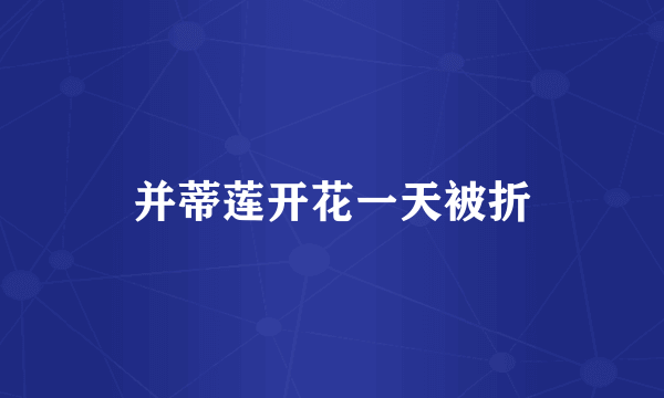 并蒂莲开花一天被折