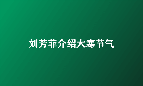 刘芳菲介绍大寒节气