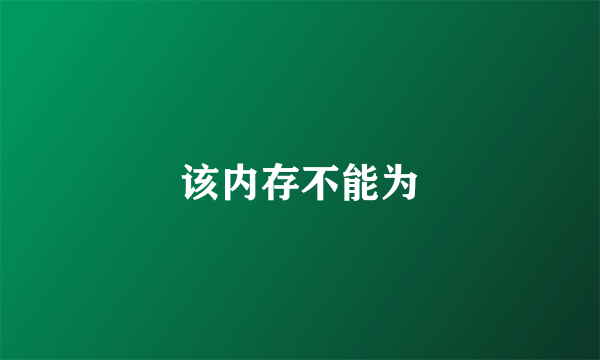 该内存不能为