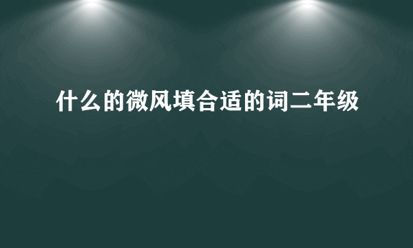 什么的微风填合适的词二年级