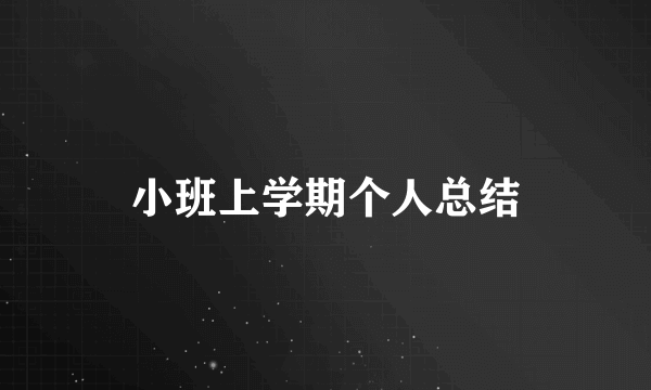 小班上学期个人总结