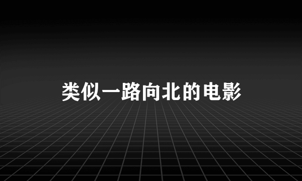 类似一路向北的电影