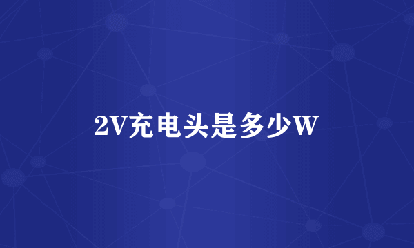 2V充电头是多少W