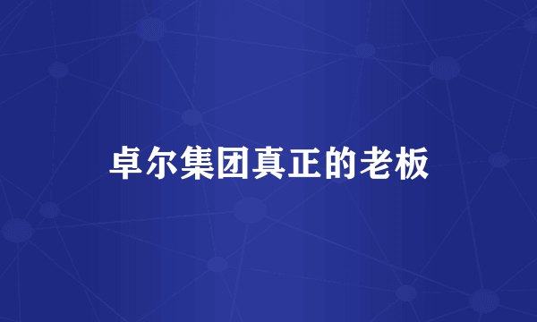 卓尔集团真正的老板