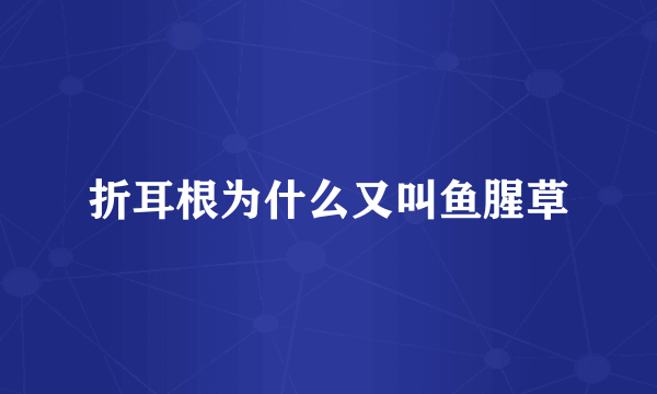 折耳根为什么又叫鱼腥草