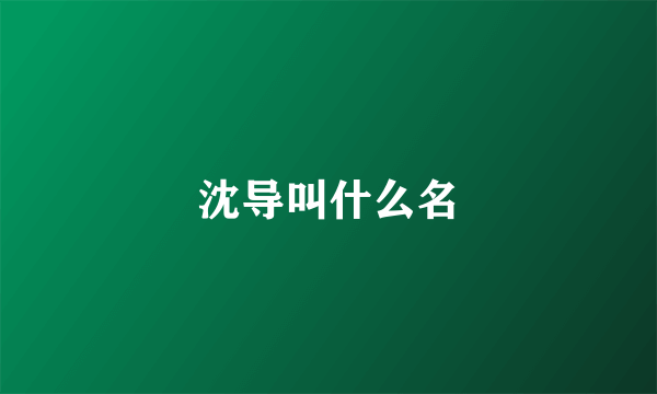沈导叫什么名