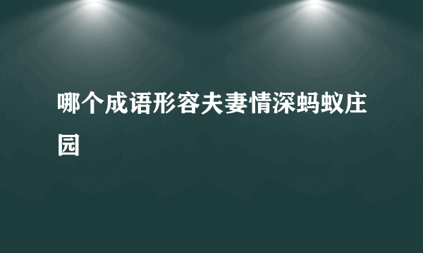 哪个成语形容夫妻情深蚂蚁庄园