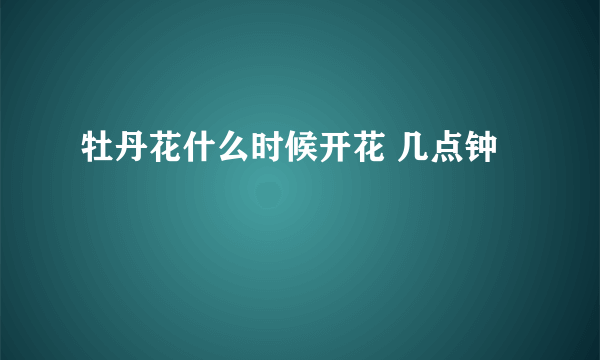 牡丹花什么时候开花 几点钟