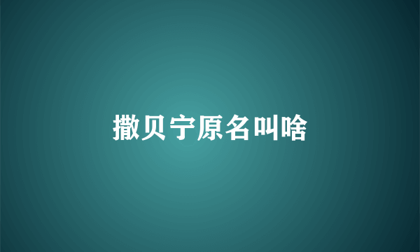 撒贝宁原名叫啥