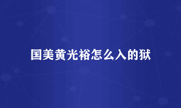 国美黄光裕怎么入的狱