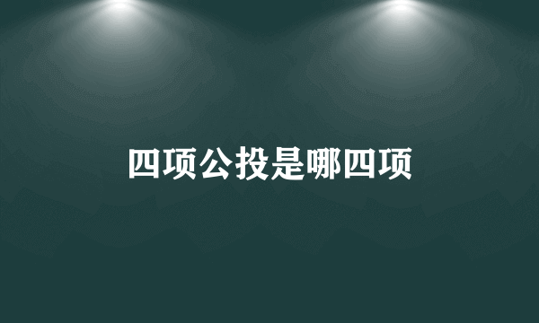 四项公投是哪四项
