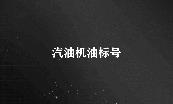 汽油机油标号