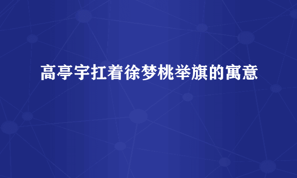 高亭宇扛着徐梦桃举旗的寓意