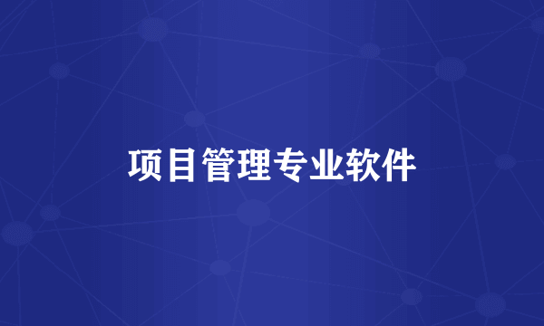 项目管理专业软件