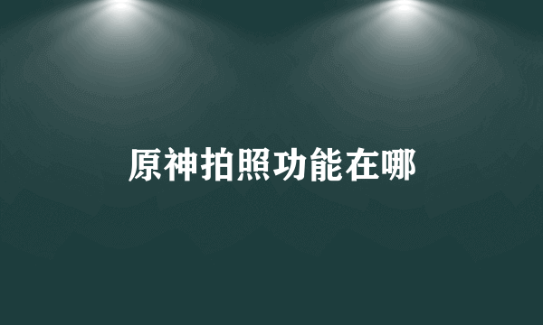原神拍照功能在哪