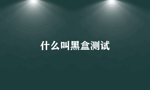 什么叫黑盒测试