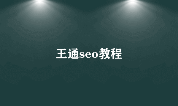 王通seo教程