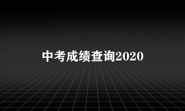 中考成绩查询2020
