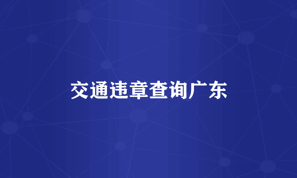 交通违章查询广东