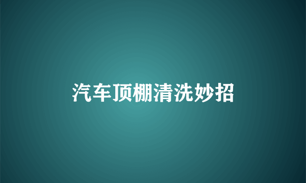 汽车顶棚清洗妙招
