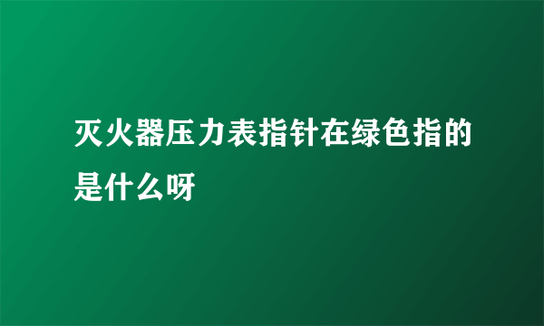 灭火器压力表指针在绿色指的是什么呀