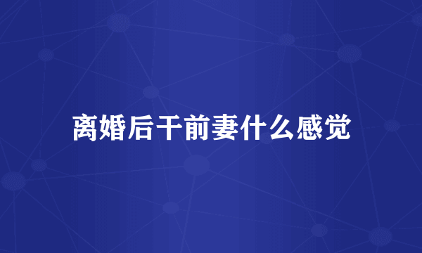 离婚后干前妻什么感觉