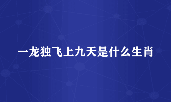 一龙独飞上九天是什么生肖