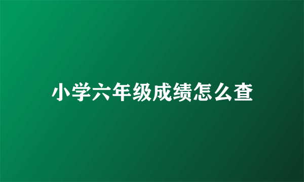小学六年级成绩怎么查
