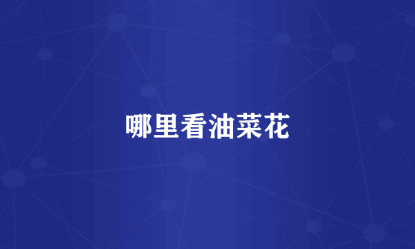 哪里看油菜花