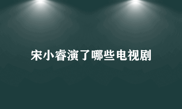 宋小睿演了哪些电视剧