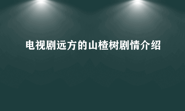电视剧远方的山楂树剧情介绍