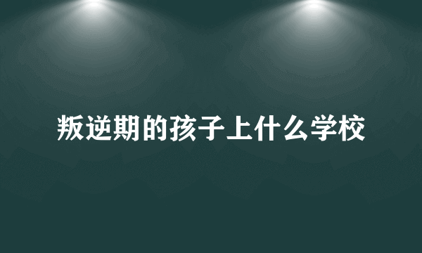 叛逆期的孩子上什么学校