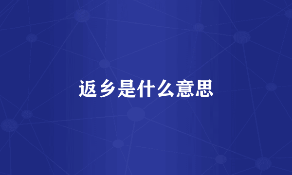 返乡是什么意思