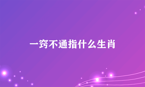 一窍不通指什么生肖