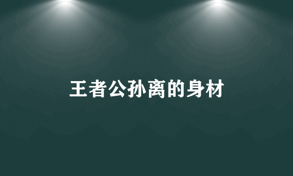 王者公孙离的身材
