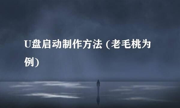 U盘启动制作方法 (老毛桃为例)
