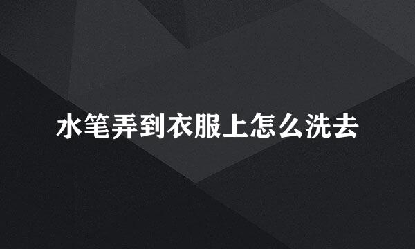 水笔弄到衣服上怎么洗去
